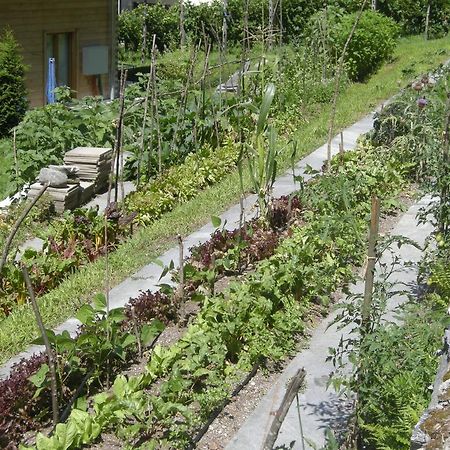 Eco-Hotel Cristallina Coglio Bagian luar foto