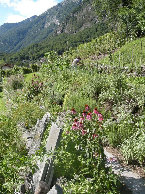 Eco-Hotel Cristallina Coglio Bagian luar foto