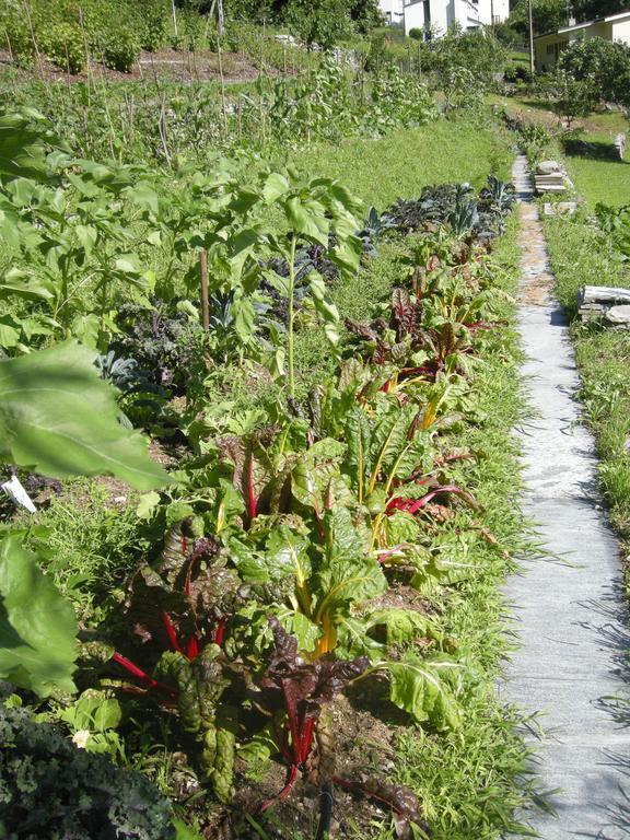 Eco-Hotel Cristallina Coglio Bagian luar foto